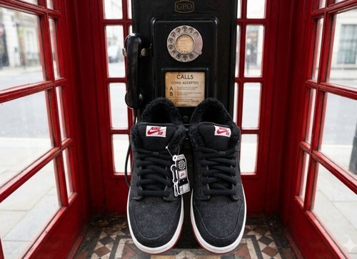 Brand new nike dunk - new, low