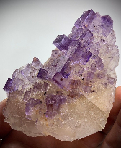 Fantastic quality purple - fantastic,