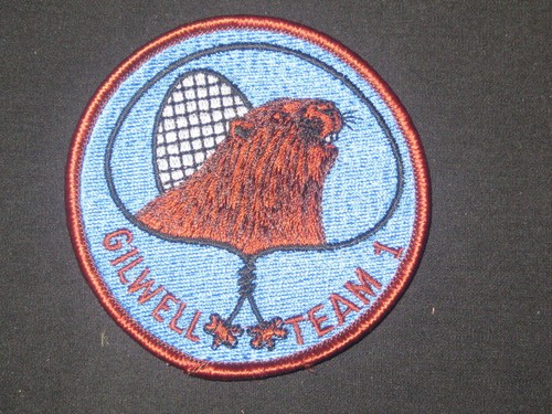 Wood badge gilwell team - team, 1