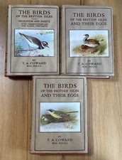 The Birds Of The British Isles