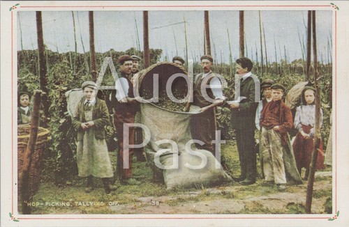 Hop picking families kent - hop,