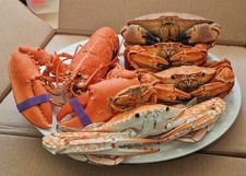 --Cooked Series Crustacean