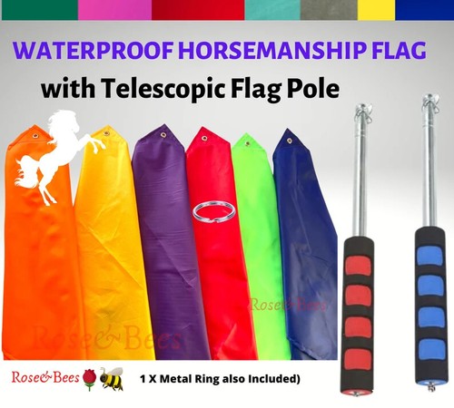 Horse training flag with - horse,