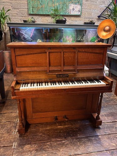 Morley traditional antique - antique, /