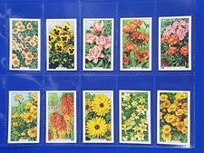 Gallaher Cigarette Cards GARDEN FLOWERS (1938) Set of 48 in sleeves