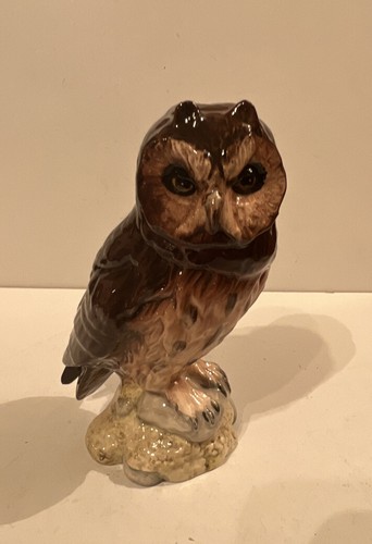 Short eared owl vintage - owl,