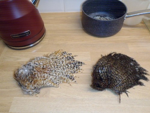 Fly tying materials cock - tying,