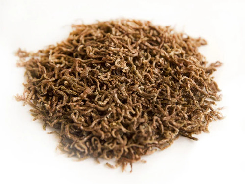 Class dried bloodworm larvae - dried,