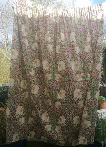 William morris pimpernel - william,