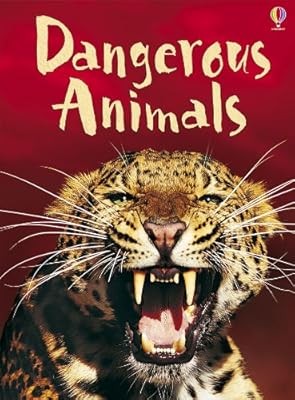 Dangerous animals usborne - animals, (usborne