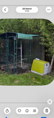 Omlet chicken wire mesh run - omlet,