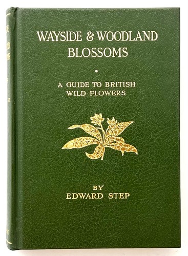 Wayside woodland blossoms - wayside,