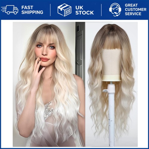 Contemporary ombre platinum - contemporary,