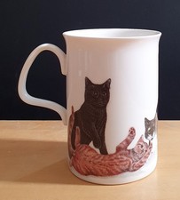 ROY KIRKHAM EXCLUSIVE CAT