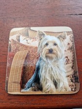 Yorkshire Terrier coaster