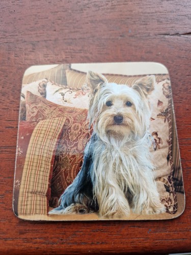 Yorkshire terrier coaster - yorkshire,