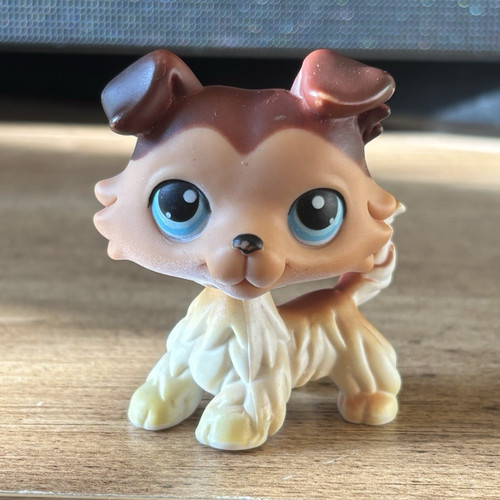 Lps collie paw - collie, down