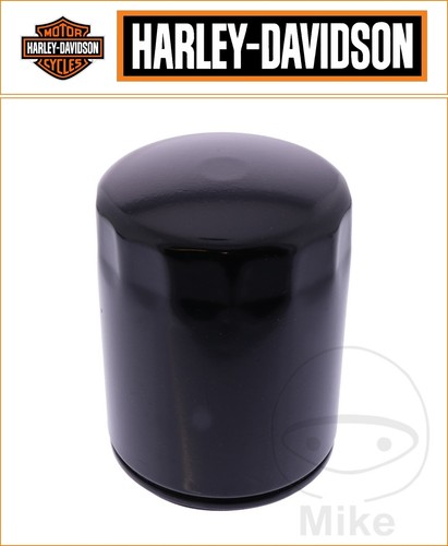 Harley davidson flsts - flsts, 1340