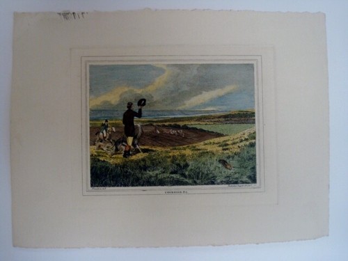 Howitt coursing plate print - coursing,