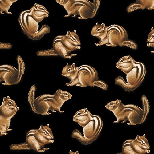 100 cotton fabric timeless - 100%,
