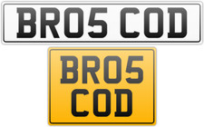 BRO COD SEA FISH & CHIPS VAN