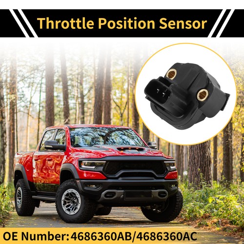 Throttle position sensor - throttle,