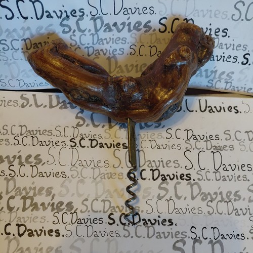 Vintage french knarled vine - vintage,