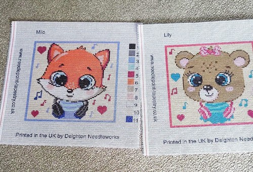 Colour printed needlepoint - colour,