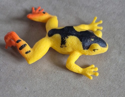 Collectible poison dart frog - poison,