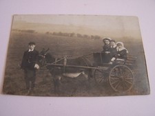 Donkey Pulling Children on Cart Vintage RP Postcard