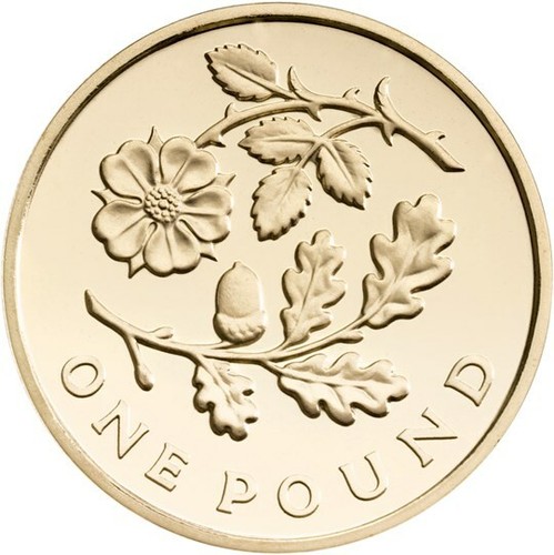 One pound coin bunc - £1,