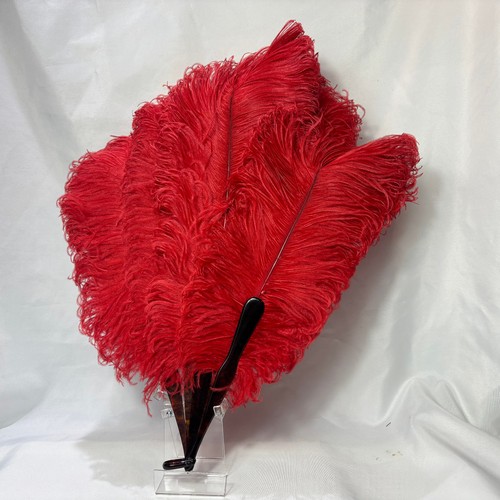 1920 feather fan - fan, tango