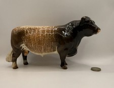 Beswick Dairy Shorthorn Bull