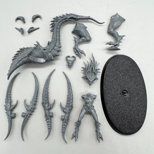 Aos 40k hedonites of - aos,