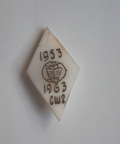 Soviet badge 10th - 10th, anniversary