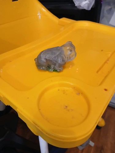 Clear beige glass dog - clear,