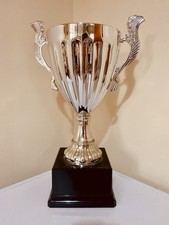 🏆 Big Silver 15” Trophy