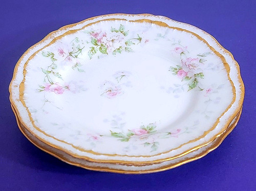Two haviland limoges - haviland,