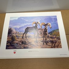 Ruger North Americans – S/N