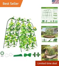 Cucumber Trellis for Raised