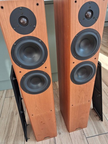 Tannoy revolution floor - tannoy,