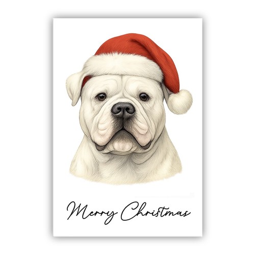 American bulldog christmas dog - bulldog,