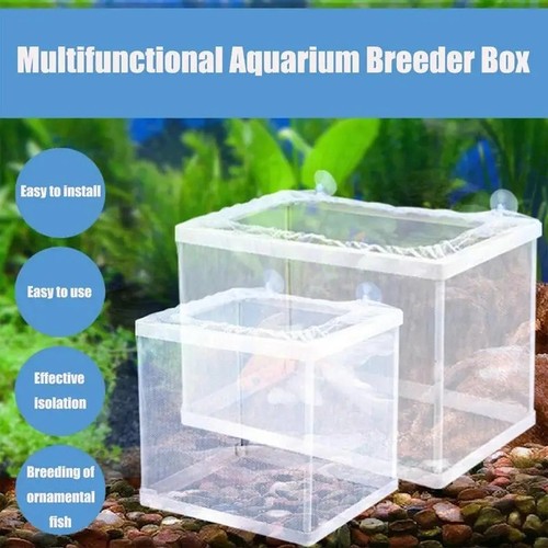Aquarium fish tank - tank, guppy