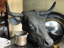 Very Large Antique Hand carved Wooden Cow Head From Butchers Shop