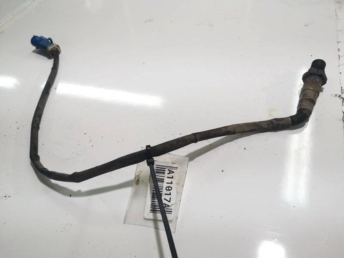 Oxygen sensor wire white - sensor, wire,