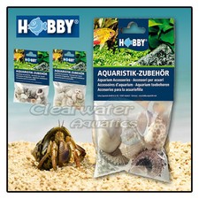 Hobby NATURAL HERMIT CRAB SEA