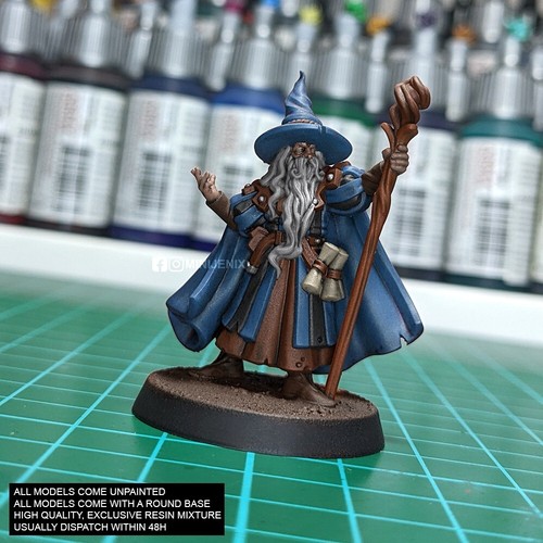 Sorcerer mage wizard - sorcerer,