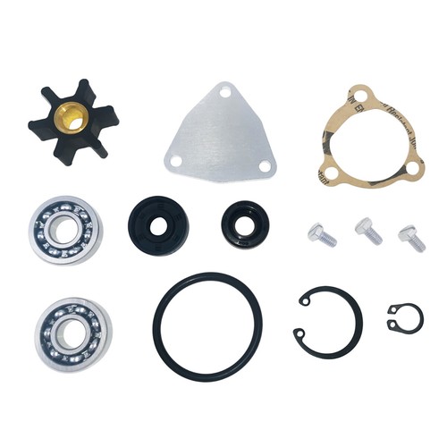 Raw sea water pump - sea, major