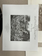 Quail Unlimited print Woodlot