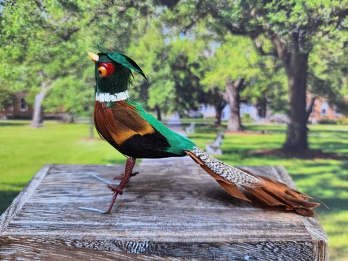 Vintage feathered pheasant - vintage,